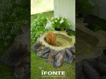 ХитСад ТВ - Садовая сантехника iFONTE   HiTSAD RU
