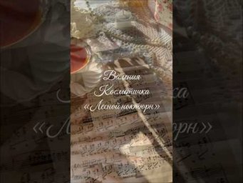 Валентина Земскова - Косметичка &laquo;Лесной ноктюрн. Соната&raquo; (s) #cottagecore #ручнаяработа #винтажныйст