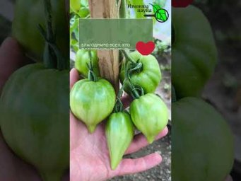 Иван Русских Иванова наука - 