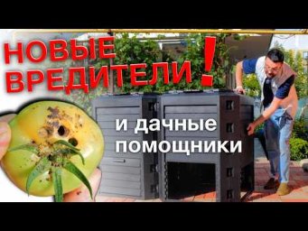 Дача с Виталием Декабрёвым - Подкормки/вредители/удобный полив и супер-компостер