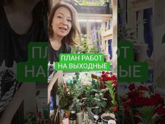 Сад для души - ПЛАН РАБОТ НА ВЫХОДНЫЕ.         текст в описании #садоводничество #огород #сад #garde