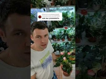 FloraMan - 11 июля 2026 г.