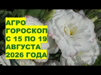 Дача, сад, огород, цветы - Что говорит агрогороскоп с 15 по 19 августа 2026?