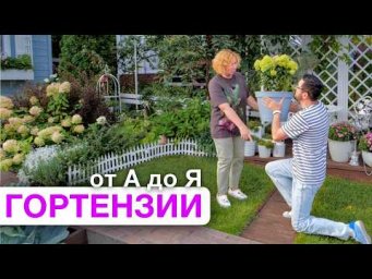 Дача с Виталием Декабрёвым - Как вырастить гортензии от А до Я