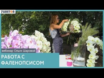 7Flowers - Каркасный букет с орхидеями| Как ухаживать за фаленопсисами? Вебинар Ольги Шаровой