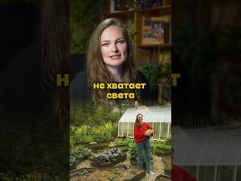Дачный агроном - Мы перестали полоть грядки и сорняков почти нет #дачныйагроном #рекомендуем