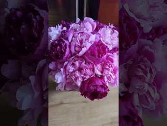 Садоводство с Александром - Сколько времени стоит пион в вазе #сад #садоводничество #пионы