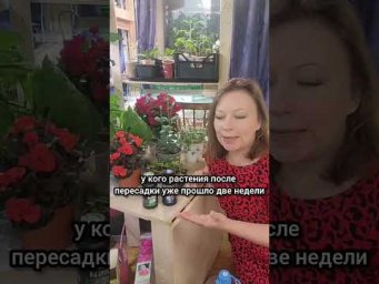 Сад для души - Новый продукт от Цимус. Аминодрайв - это органика+минералка для быстрого результата, 