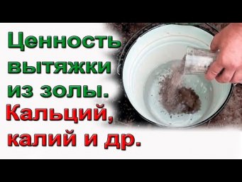 Сад по-взрослому с Виктором Шадриным - Вытяжка из золы. Кальций и калий и многое другое.