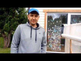 Максим Дробот - Инжир и лимоны в Таллинне.