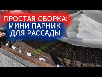 Садовый Мир - Зачем ставим мини парник внутри  теплицы?  Как уберечь рассаду от солнечных ожогов  по