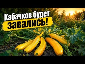 Садовый клуб Наталии Петренко - Кабачков будет завались!