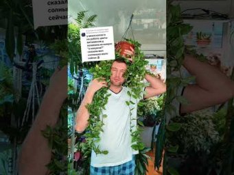 FloraMan - 25 октября 2026 г.