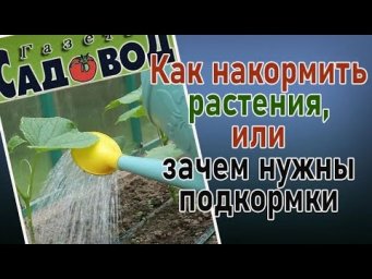 Газета Садовод - Как накормить растения или зачем нужны подкормки?