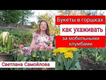 Сад для души - БУКЕТЫ В ГОРШКАХ. КАК УХАЖИВАТЬ ЗА МОБИЛЬНЫМИ КЛУМБАМИ
