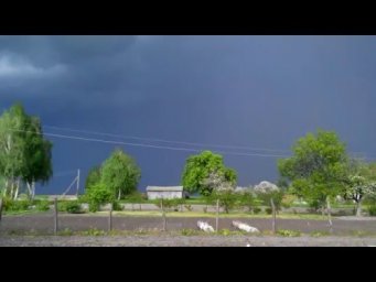 Сивер Сад - Ранний картофель под агроволокном. Пейзаж перед грозой.