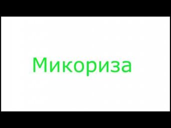 Садовник Макаров - Посадка грибов