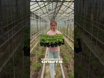 Семена Партнёр - 