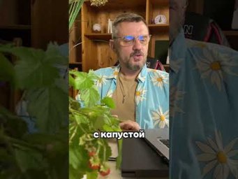 Дачный агроном - Как растет виноград рядом с другими культурами #дачныйагроном #рекомендуем