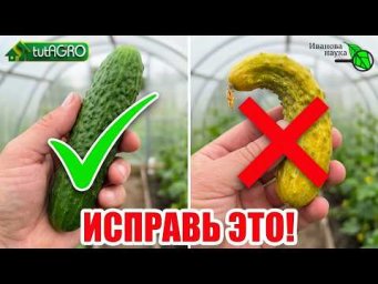 Иван Русских Иванова наука - 