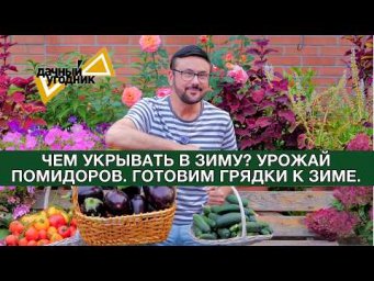 Дача с Виталием Декабрёвым - Чем укрыть в зиму/урожай помидоров/грядки к зиме