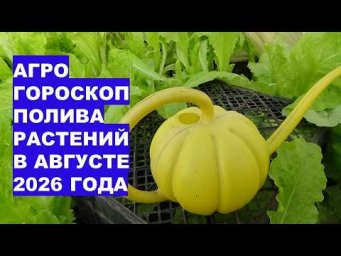 Дача, сад, огород, цветы - Август 2026: Самые Благоприятные Дни для Полива Растений?!