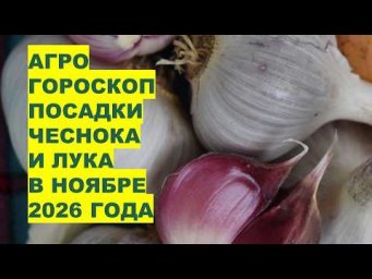 Дача, сад, огород, цветы - Ноябрь 2026: Самые Лучшие Дни Для Посадки Озимого Чеснока и Лука?!