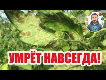 Иван Русских Иванова наука - 