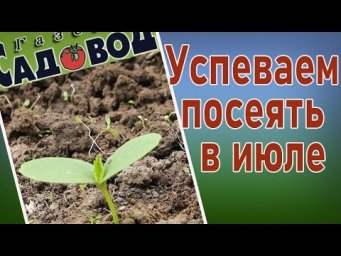 Газета Садовод - Что можно успеть посеять в июле?