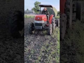 Фундук сад садоводство - Поливаємо садок фундука!