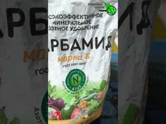 Иван Русских Иванова наука - 