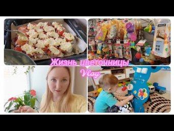 Настя Вольф - Жизнь цветочницы Прогулка по ЛЕНТЕ Нашла игрушку в мусорке 