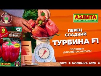Агрофирма Аэлита - Перец сладкий ТУРБИНА F1 - новинка 2026!