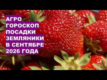 Дача, сад, огород, цветы - Сентябрь 2026: Самые Лучшие Дни для Посадки Земляники?!