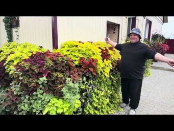 Борис Борисов - Скоро осень, но я продолжаю уход!