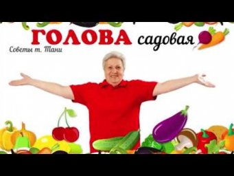 Голова садовая - Голова садовая - ПОЛЕЗНО! Подкормка грунтовых томатов