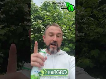 Иван Русских Иванова наука - 