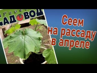 Газета Садовод - Сеем на рассаду в апреле.