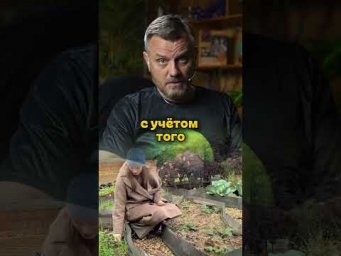 Дачный агроном - Освободилась грядка? Не упустите последние тёплые дни
