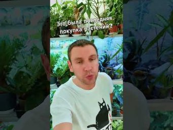 FloraMan - 25 августа 2026 г.