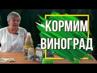 Гарден Зоо - Подкормите Виноград Калием ✔️ 100% Урожай Винограда 