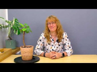 Усадьба Багиры - Формирование фикуса Альтиссима (ч.6).