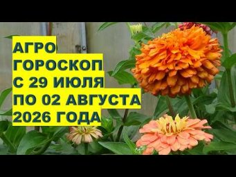 Дача, сад, огород, цветы - Что делать в огороде и саду с 29 июля по 02 августа 2026?!