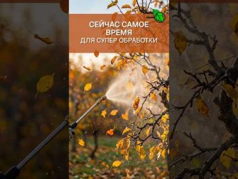 Иван Русских Иванова наука - 